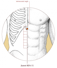 On the midline of the abdomen, 7 cun above the umbilicus and 1 cun below the sternocostal angle.