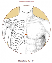 On the midline of the sternum, in a depression level with the junction of the 4th intercostal space and the sternum.