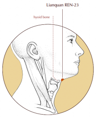 On the anterior midline of the neck, in the depression above the hyoid bone.