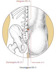 On the midline of the lower back, in the depression below the spinous process of the 4th lumbar vertebra.