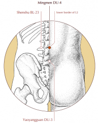 On the midline of the lower back, in the depression below the spinous process of the second lumbar vertebra.