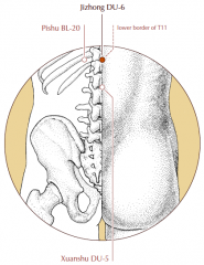 On the midline of the back, in the depression below the spinous process of the 11th thoracic vertebra.