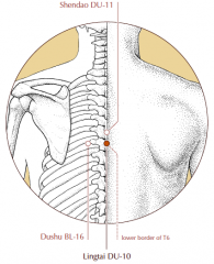 On the midline of the back, in the depression below the spinous process of the sixth thoracic vertebra.