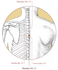 On the midline of the upper back, in the depression below the spinous process of the fifth thoracic vertebra.