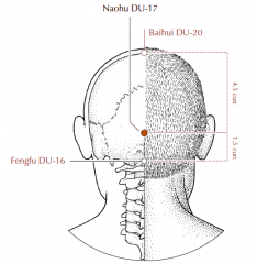 At the back of the head on the midline, 1.5 cun directly above Du-16, in the depression directly superior to the external occipital protuberance.