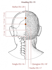 At the back of the head on the midline, 1.5 cun directly superior to Du-18 and 1.5 cun posterior to Du-20.