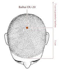 At the vertex on the midline, in the depression 5 cun posterior to the anterior hairline and 7 cun superior to the posterior hairline.  This point may also be measured as 8 cun posterior to the glabella and 6 cun superior to the external occipital protube
