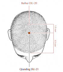 At the top of the head on the midline, 1.5 cun directly anterior to Du-20 and 3.5 cun posterior to the anterior hairline.