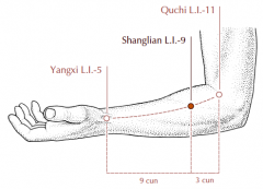 On the radial side of the forearm, 3 cun distal to LI-11, on the line connecting LI-11 and LI-5.