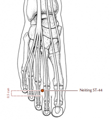 On the dorsum of the foot, between the second and third toes, 0.5 cun proximal to the margin of the web.
