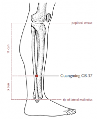 On the lateral aspect of the lower leg, 5 cun superior to the prominence of the lateral malleolus, at the anterior border of the fibula.