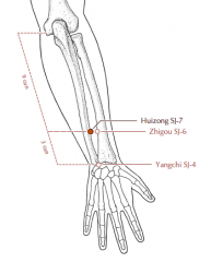 3 cun proximal to SJ-4, level with and on the ulnar side of SJ-6, in the depression between the ulna and the extensor digitorum communis muscle.