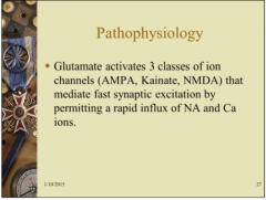 What does GABA activate? How are inhibitive effects generated through this? 
 
This slide is review