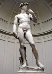 Michelangelo
David
Marble
1500
Piazza della Signoira, Florence 