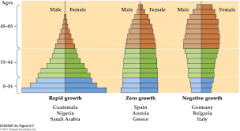 The distribution of ages in a specific population at a certain time.