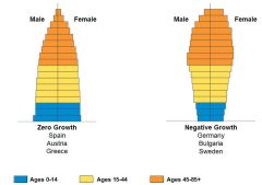 The distribution of ages in a specific population at the certain time.