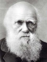 Darwin
hypothèse