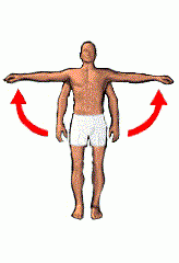 Motion of a limb away from the midline.