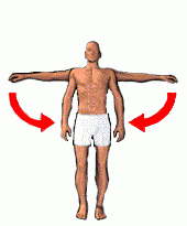 Motion of a limb toward the midline.