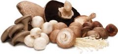MUSHROOMS
Salads with many mushrooms are very good for digestion
