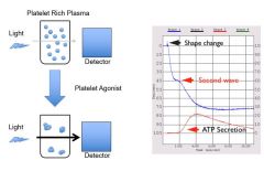 When agonist added - initial shape change
Platelets quickly start to aggregate - primary wave
Secondary wave of aggregation - after dense granules released - recruit more platelets
Measure ATP secretion w/ bioluminescence - measure of platelet gra...