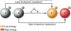 5. [OXIDATION] – loss of an electron by an atom or molecule.