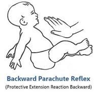See image. The other name for Backward Parachute Reflex is Protective Extension Reaction Backward.