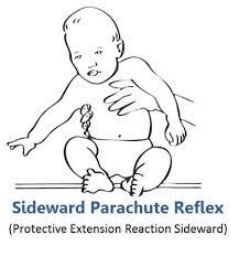 See image.
 
The other name for the Sideward Parachute Reflex is the Protective Extension Reaction Sideward.