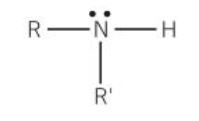 The nitrogen atom is attached to two alkyl groups