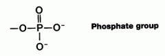 Anion, used in energy transfer. Ex: Adenosine Triphosphate. 

Enters into condensation by giving up OH. When bonded to another phosphate hydrolysis releases energy.