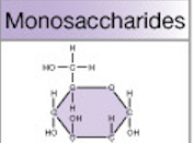In which organic compound? Mono Meaning?