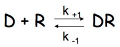 K D is the equilibrium dissociation constant. 


How is KD calculated?