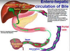 Entero-hepatic circulation of bile...