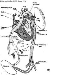 Ductus venosum + SVC -> foramen ovale -> LA, LV -> aorta

Ductus venosum + SVC -> RA, RV -> pul. art -> PDA (85%), lungs (15%)