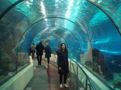 aquarium