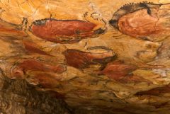 Paleolithic, 13,000 BCE, Spain

First discovered cave
Use of natural projections to paint - sculptural effect