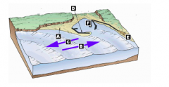 1. __: area threatened by erosion after construction of the breakwater
2. __: dredge
3. __: arrow that points in direction of longshore drift
4. __: breakwater
5. __: area of sand deposition
6. __: arrow that points to opposite direction of longsh...