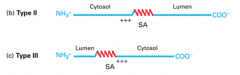 Topogenic sequences: SA 
- also depends on location of positively charged amino acids 

- SA sequence brings protein to ER (SA becomes transmembrane domain)
- If charged amino acids on the N-terminal side around SA, N stays in the cytosol and C...