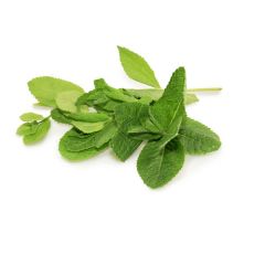 Minty fresh skin. Sweet pepperminty skin is just a dance around the Maypole away. A gentle blend of peppermint oil and Canadian maple syrup makes for a minty-sweet lather that cleanses and softens, leaving skin smelling fresh and feeling soft. It ...