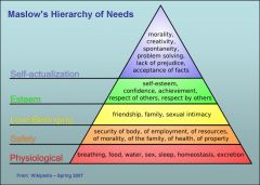 4 TYPES OF NEEDS: 
Physiological needs 

Safety needs