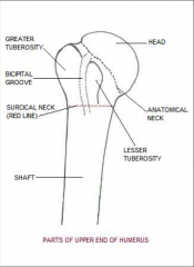 *1 part = nondisplaced
*2 part = surgical or anatomical neck and/or greater or lesser tubercle