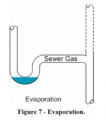 Evaporation lets sewer gas in