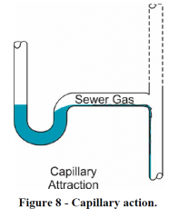 Obstructions such as string, dental floss, hair will cause the water to capillary action down the drain which will allow sewer gas in.