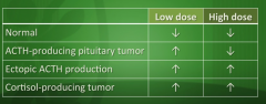 The only tumor that is suppressible is ACTH-producing tumor (specifically with high dose dexamethasone)