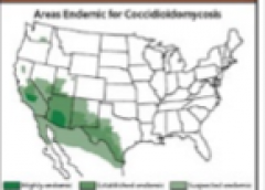 Arizona,
south central California (San Joaquin Valley), Nevada, New Mexico, parts of
Utah, western half of Texas.

"Coccidioidomycosis"