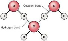 A Hydrogen bond is formed between hydrogen atoms of already formed covalent bonds