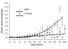 Tooth breakage increases with age in males, but not females