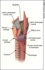 Cricopharyngeus muscle - continuous muscle that surrounds the esophageal inlet and attaches to each side of the cricoid cartilage.