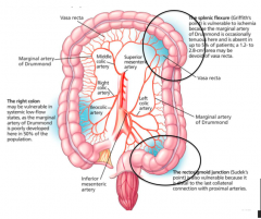Intestinal segments at the end of their respective arterial supplies = "Watershed Zones"
- Splenic flexure
- Sigmoid colon and rectum