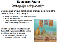 This was not the rise in multicellularity because this happened before early cambrian